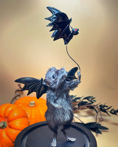 Fly Away Bat Fly Away Bat