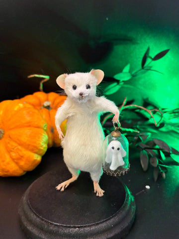 Pet Ghost Pet Ghost
