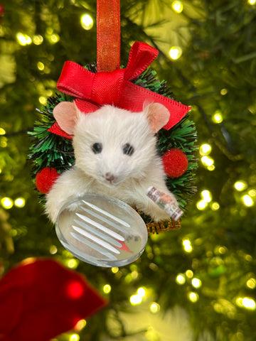 A Dangling White Christmas A Dangling White Christmas