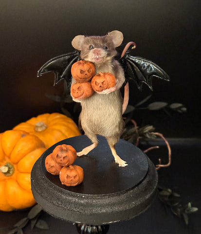 Limited Edition Spooky Cutie Limited Edition Spooky Cutie