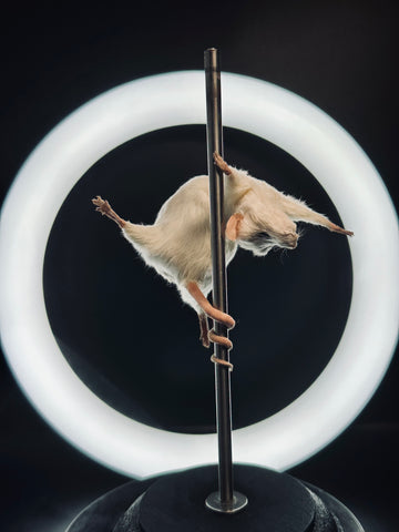 Stripper Mouse - Angel Stripper Mouse - Angel
