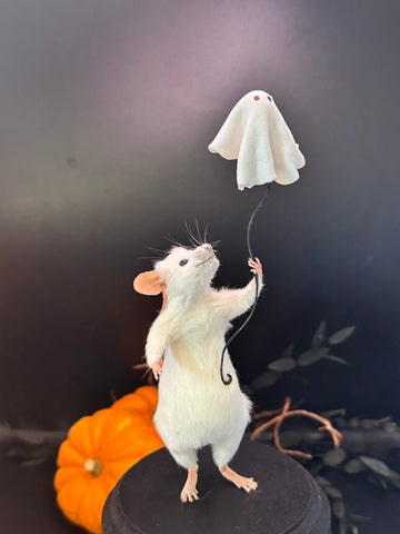 Fly Away Ghost Fly Away Ghost