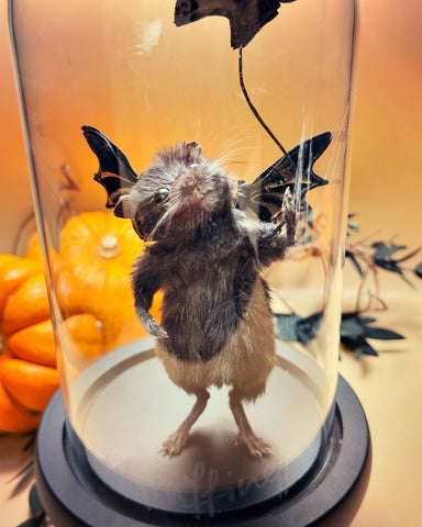 Fly Away Bat Limited Edition Fly Away Bat Limited Edition