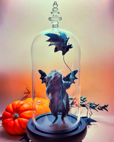 Fly Away Bat Limited Edition Fly Away Bat Limited Edition
