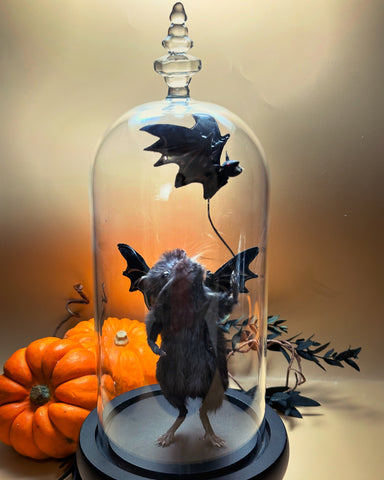 Fly Away Bat Limited Edition Fly Away Bat Limited Edition
