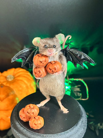 Limited Edition Spooky Cutie Limited Edition Spooky Cutie