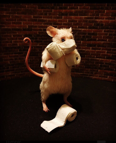 Corondent Virus Mouse Corondent Virus Mouse