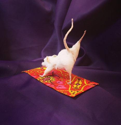 Yoga Mouse - Three Legged Dog Yoga Mouse - Three Legged Dog