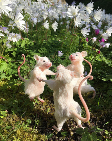 Dancing Mice Dancing Mice