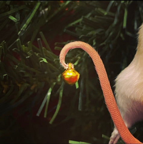 Hanging Christmas Mouse Hanging Christmas Mouse