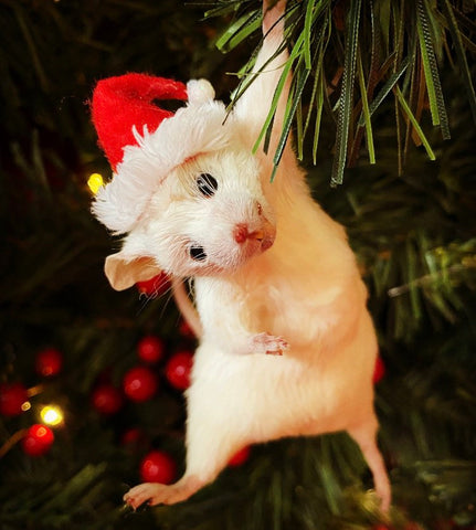 Hanging Christmas Mouse Hanging Christmas Mouse