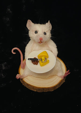 Cheese anyone? Cheese anyone?
