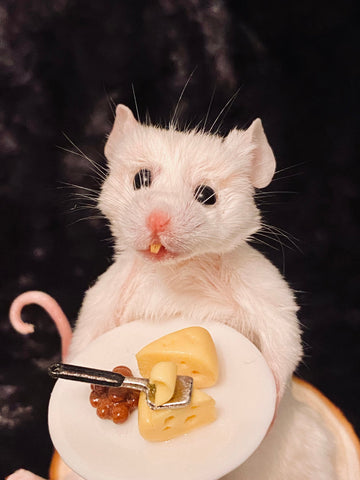 Cheese anyone? Cheese anyone?