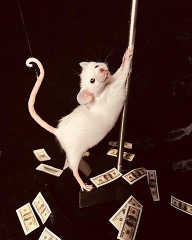 Stripper Mouse - Jo-Jo Stripper Mouse - Jo-Jo