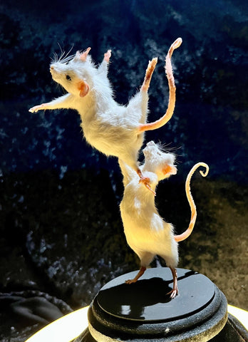 Pas De Deux 2 Pas De Deux 2