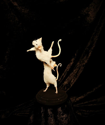 Pas De Deux 2 Pas De Deux 2