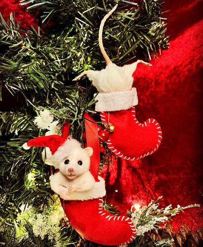 Christmas Stocking Pair Christmas Stocking Pair