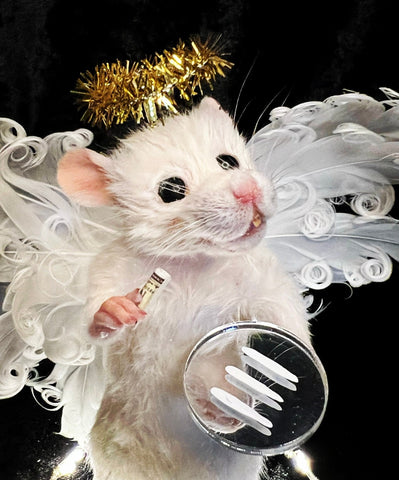 Snow Angel Tree Topper Snow Angel Tree Topper