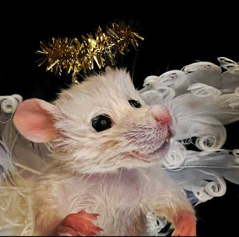 Rat Angel Tree Topper Rat Angel Tree Topper
