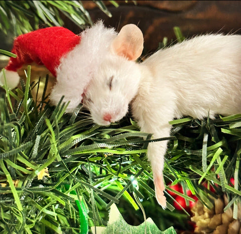 Sleepy Christmas Mouse Sleepy Christmas Mouse
