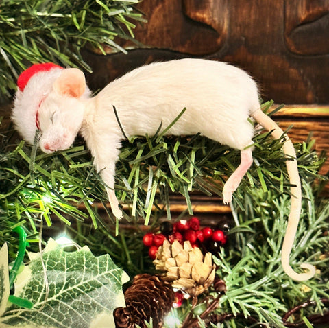 Sleepy Christmas Mouse Sleepy Christmas Mouse