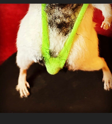 BoRAT BoRAT