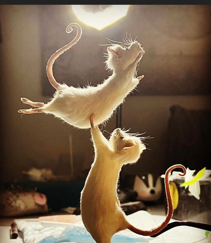 Dirty Dancing. Dirty Dancing.