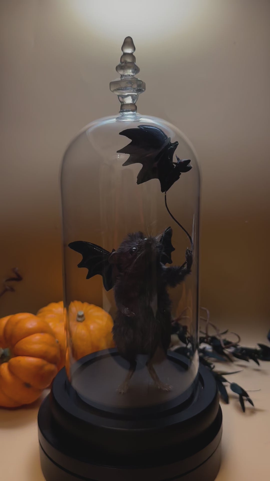 Fly Away Bat Limited Edition Fly Away Bat Limited Edition