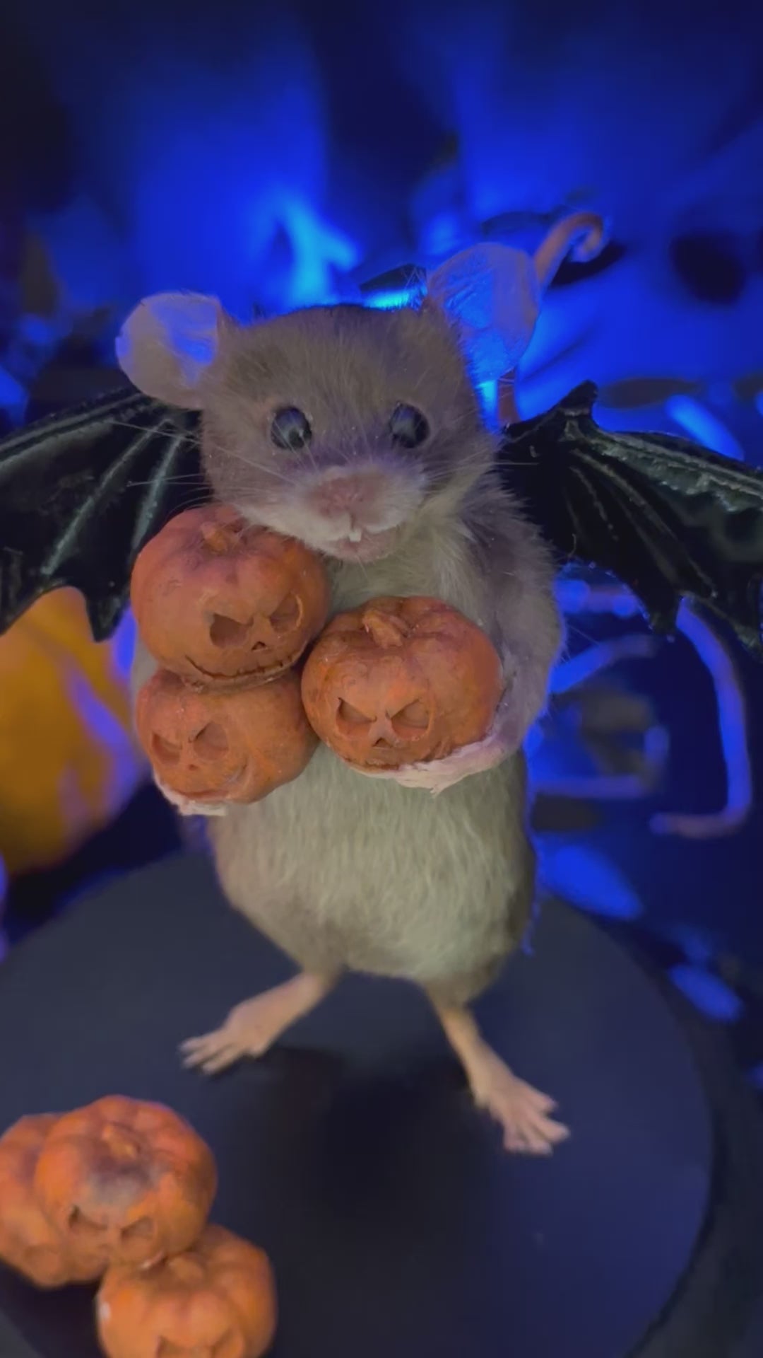Limited Edition Spooky Cutie Limited Edition Spooky Cutie