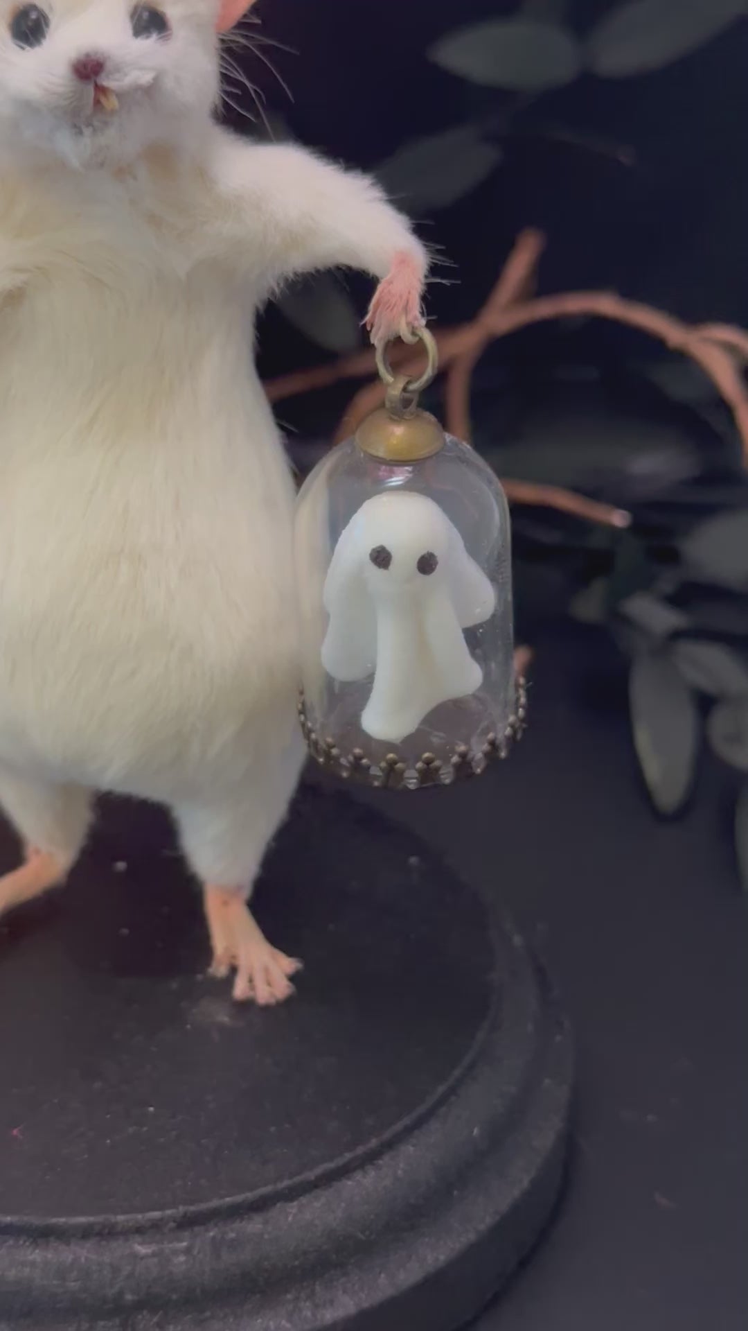 Pet Ghost Pet Ghost