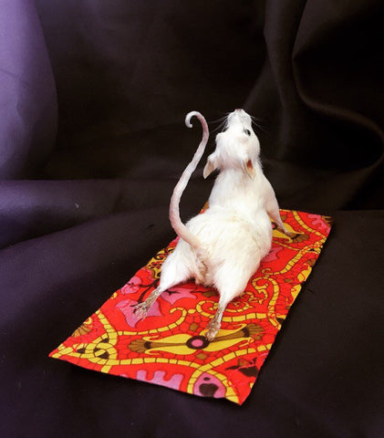 Yoga Mouse - Cobra Yoga Mouse - Cobra