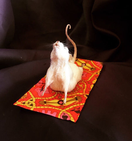 Yoga Mouse - Cobra Yoga Mouse - Cobra