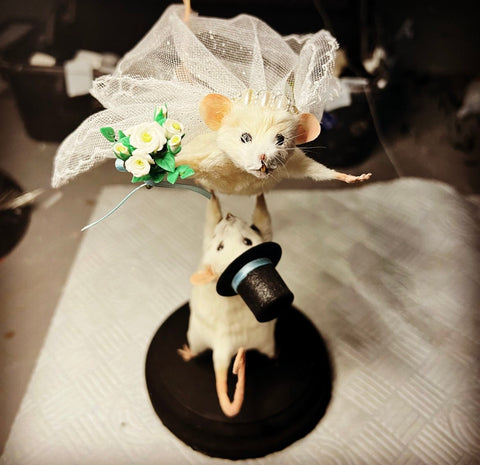 Just say ‘ I do ‘ Just say ‘ I do ‘