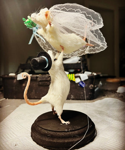 Just say ‘ I do ‘ Just say ‘ I do ‘