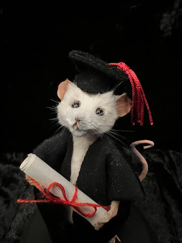 Clever Cloggs Graduation Mouse Clever Cloggs Graduation Mouse