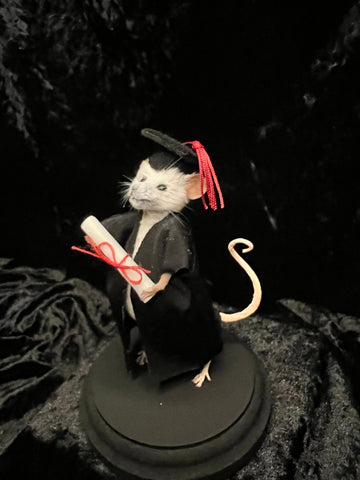 Clever Cloggs Graduation Mouse Clever Cloggs Graduation Mouse