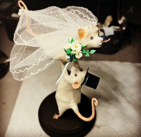 Just say ‘ I do ‘ Just say ‘ I do ‘