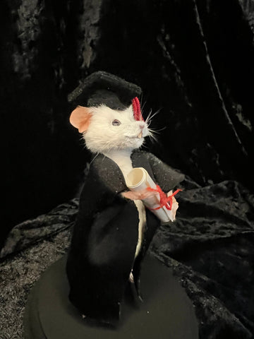 Clever Cloggs Graduation Mouse Clever Cloggs Graduation Mouse