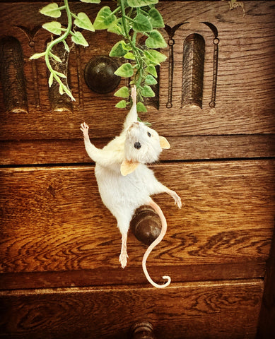 Hanging Mouse Hanging Mouse