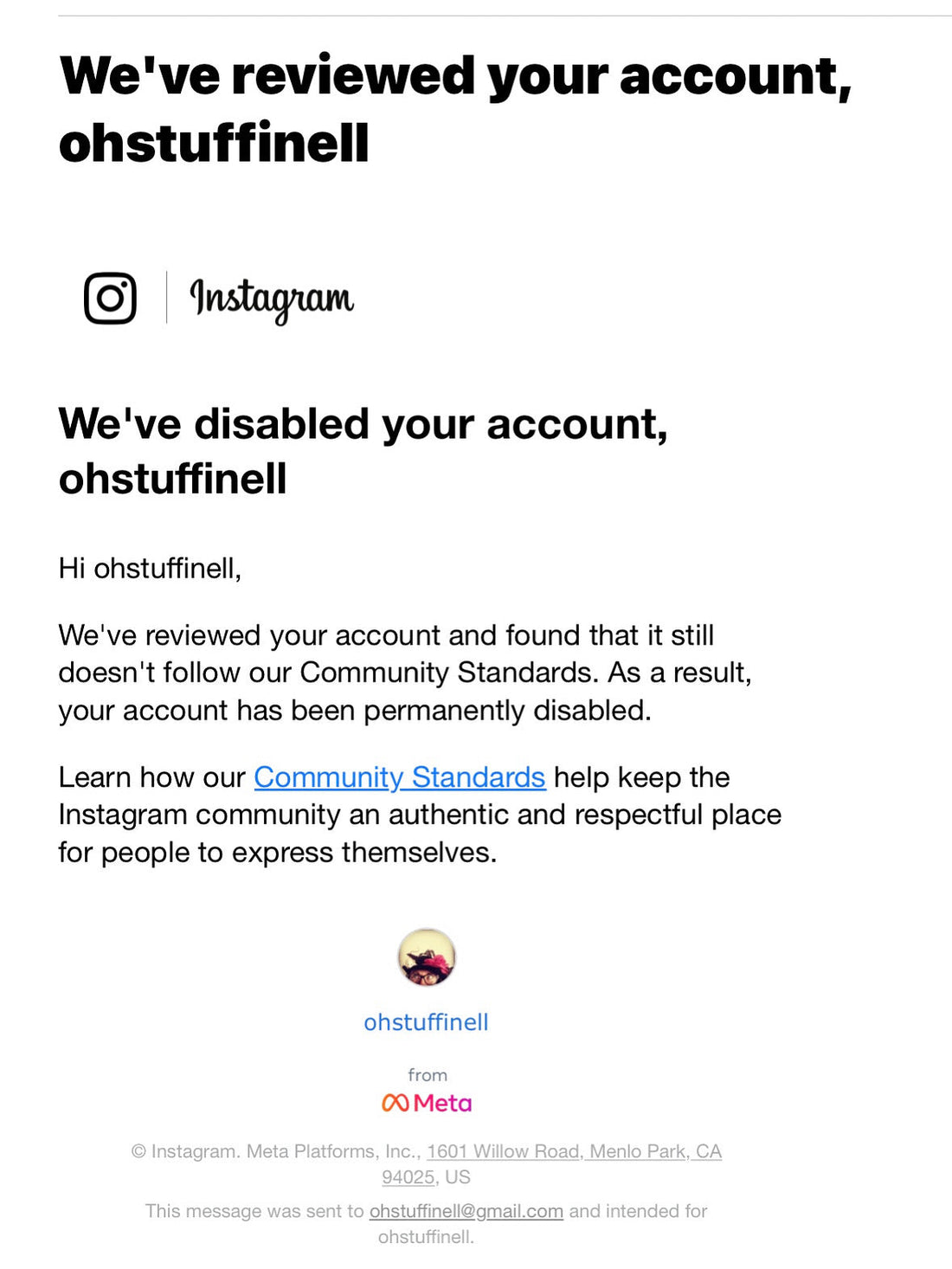 Onwards, Upwards… and Slightly to the Left: The Day Instagram Deleted My 8 Years of Mice