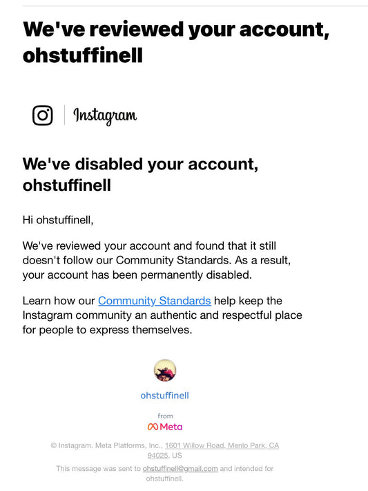 Onwards, Upwards… and Slightly to the Left: The Day Instagram Deleted My 8 Years of Mice