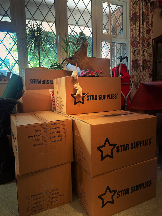 Packing, Parenting, and Other Things I’m Failing at This Week