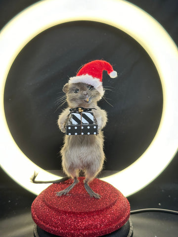 A Festive Jolly Gerbil