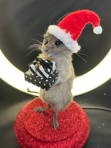 A Festive Jolly Gerbil