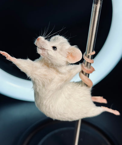 Stripper Mouse - Roxy