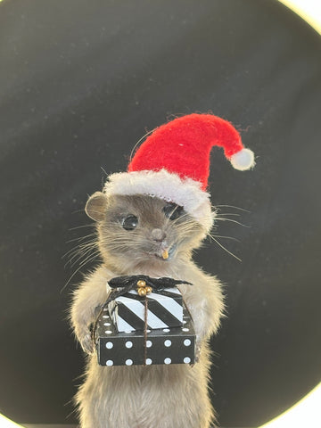 A Festive Jolly Gerbil