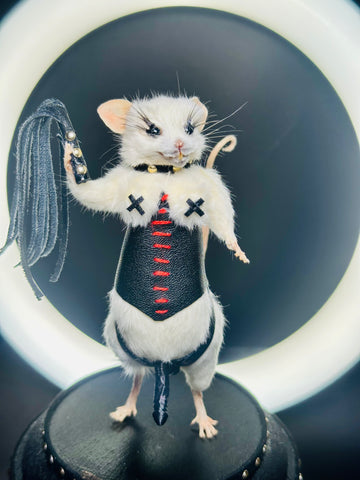 Dominatrix Taxidermy Mouse | Gothic Oddities & Curiosity Art