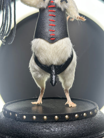 Dominatrix Taxidermy Mouse | Gothic Oddities & Curiosity Art