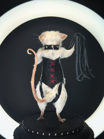 Dominatrix Taxidermy Mouse | Gothic Oddities & Curiosity Art