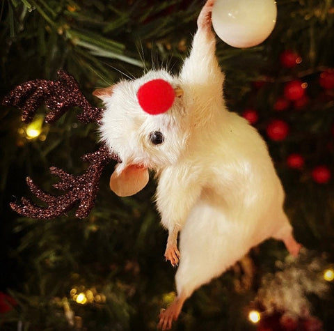 Hanging Reindeer Christmas Mouse